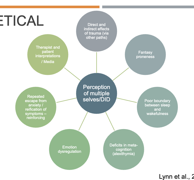 <p>Idea here: a <u>c</u><strong><u>ombination of the sociocognitive and posttraumatic framework </u>fo</strong>r understanding DID, with <strong>some added elements:</strong></p><ul><li><p><strong><mark data-color="yellow" style="background-color: yellow; color: inherit;">Boundary issues between sleep and wakefulness</mark></strong></p></li><li><p><mark data-color="yellow" style="background-color: yellow; color: inherit;">A</mark><strong><mark data-color="yellow" style="background-color: yellow; color: inherit;">voidance/ escape</mark></strong> using DID can perpetuate/reinforce these tendencies.</p></li><li><p><mark data-color="#4800a2" style="background-color: rgb(72, 0, 162); color: inherit;">Deficits in meta cognition (alexithymia): </mark><strong><mark data-color="#4800a2" style="background-color: rgb(72, 0, 162); color: inherit;">Difficulty identifying/ describing one’s own emotions</mark></strong></p></li><li><p><strong><mark data-color="#4800a2" style="background-color: rgb(72, 0, 162); color: inherit;">Emotion Dysregulation</mark></strong></p></li></ul><p></p>