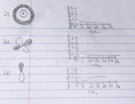 <p>Match each orbital on the left to the correct radial wavefunction graph on the right </p>