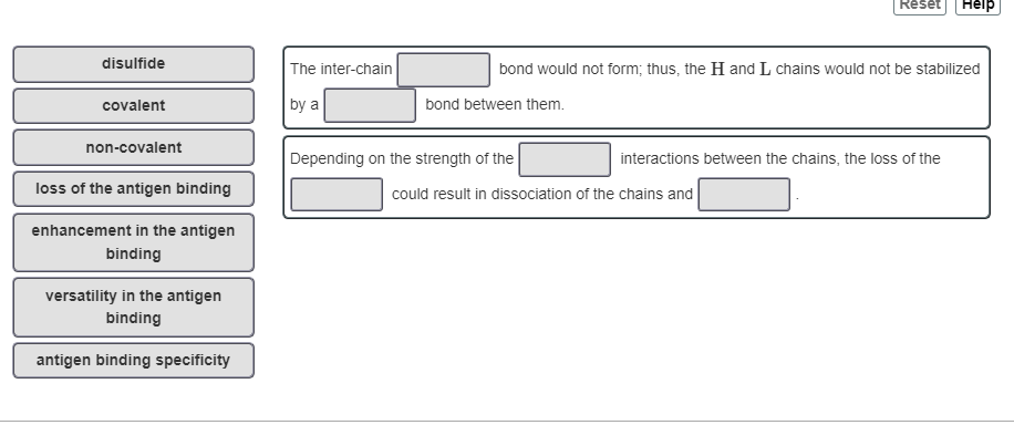 What physiological effect would you predict from a mutation that replaced the cysteine with serine in the constant part of the immunoglobulin light chain that is involved in disulfide-bond formation with the heavy chain?

\
