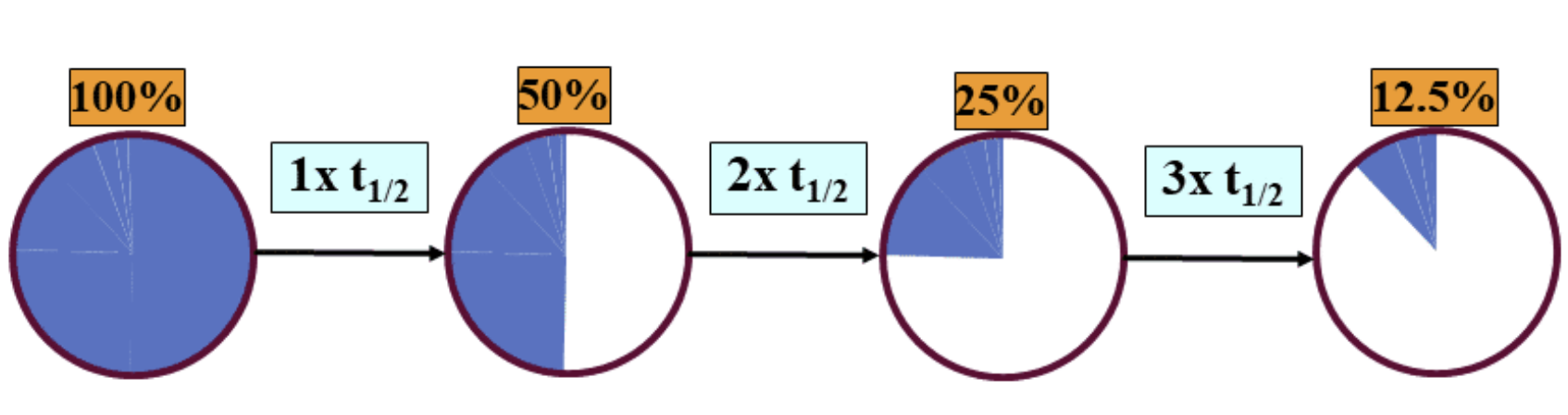 <ul><li><p>Duration of Drug Action</p></li></ul><p></p>