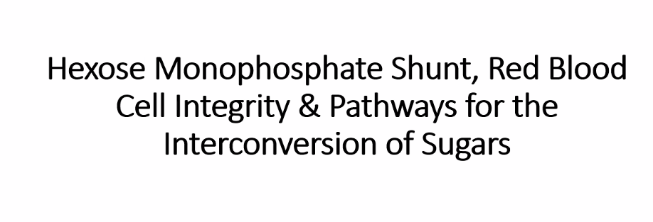 <p>The Hexose Monophosphate (HMP) shunt—also known as the pentose phosphate pathway—is an alternative metabolic pathway to glycolysis.</p><p>-location: cytosol</p><p>HMP: oxidizes glucose <strong>to generate NADPH</strong> (for anabolic reactions and antioxidant) and ribose-5-phosphate “pentose phosphate pathway” (for nucleotide synthesis).</p><p>called pentose phosphate pathway it makes ribose-5-phosphate.</p><p>HMP does not oxidize glucose for ATP.</p>