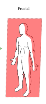 <p>Split front and back</p>