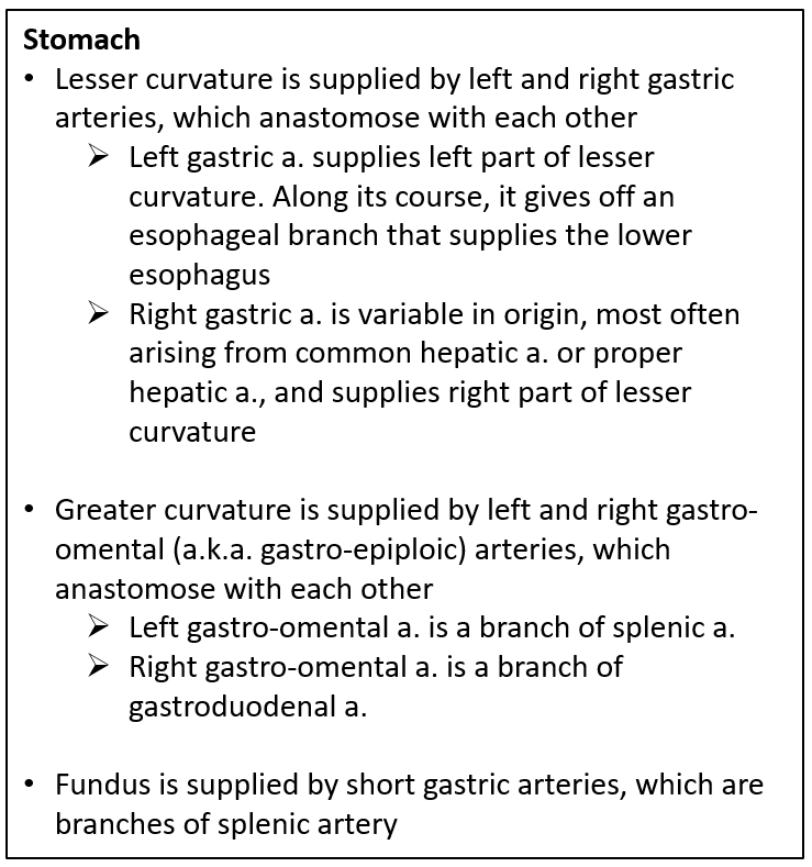 <p>What supplies blood to the <strong>lesser curvature of the stomach?</strong></p>