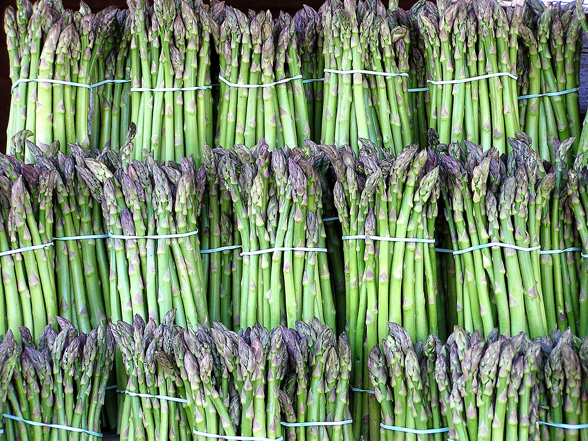 <p>Asparagus</p>