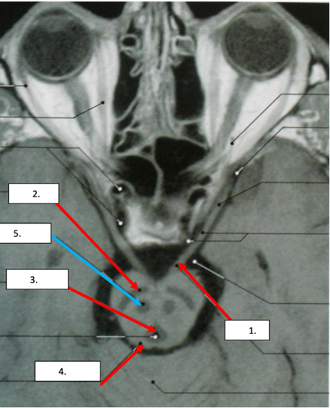 <p>1</p>