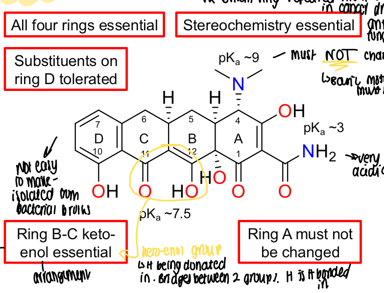 <p>All 4 rings essential, stereochemistry essential and basic motif must stay, substituents tolerated on D ring, ring B-C keto-enol essential and ring A MUST not be changed </p>