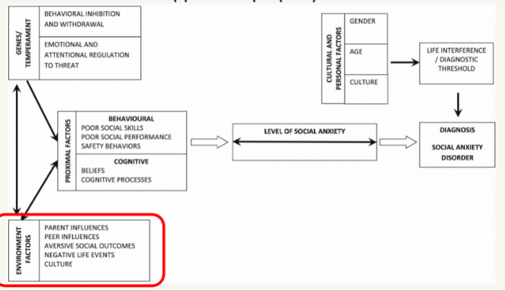 <p>attempts to explain how high levels of social anxiety might emerge across early development</p>