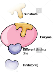 <p><u>Enzyme Kinetics</u></p><p><u>Competitive vs. Uncompetitive vs. Noncompetitive vs. Mixed Inhibition</u></p><p>When the inhibitor binds to both the enzyme/substrate complex and the free enzyme, but has different affinities for each</p>