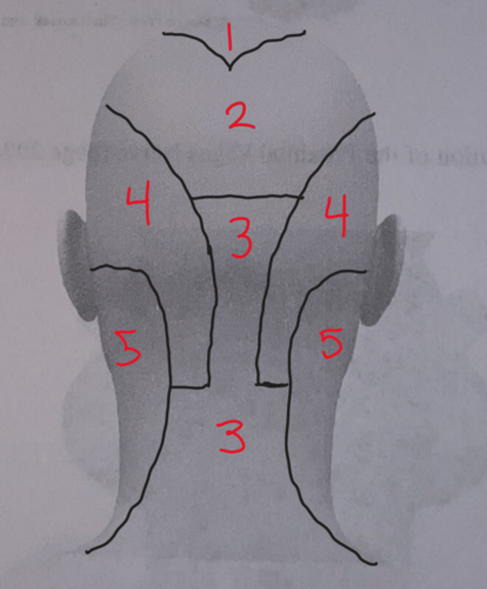 <p>What is number 3?</p>