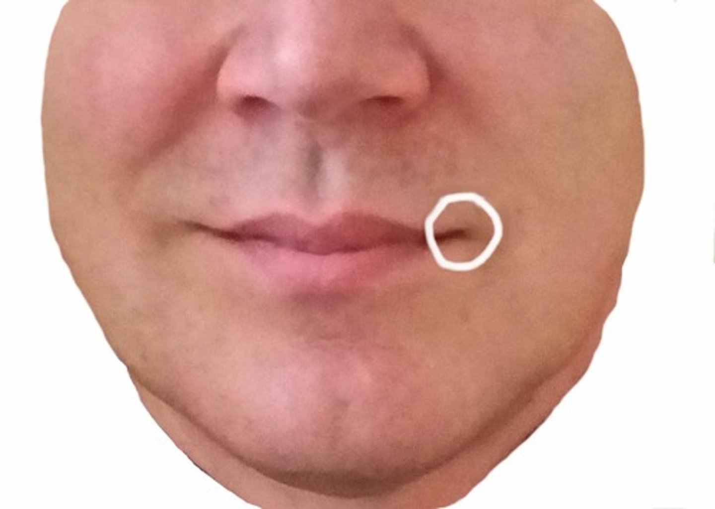 <p>khóe miệng</p>