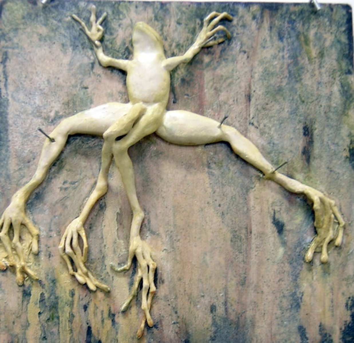 <p>Clues in to environmental problems</p>