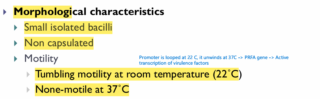 <p>Note, motility is just like Yersinia (but yersinia not tumbling)</p>