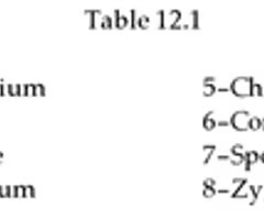 <p>8) In Table 12.1, which of these spores are characteristic of Rhizopus?<br />
A) 1 and 2<br />
B) 6 and 7<br />
C) 2 and 8<br />
D) 1 and 4<br />
E) 7 and 8</p>