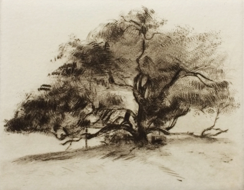 <p>The simplest intaglio process, where a line is scratched directly into the copper plate using a sharp metal point. This action raises a ridge of metal called the burr, which holds ink and produces the characteristic rich, feathery smudge in the print.</p>