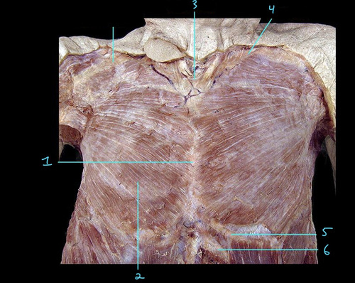 <p>4</p>