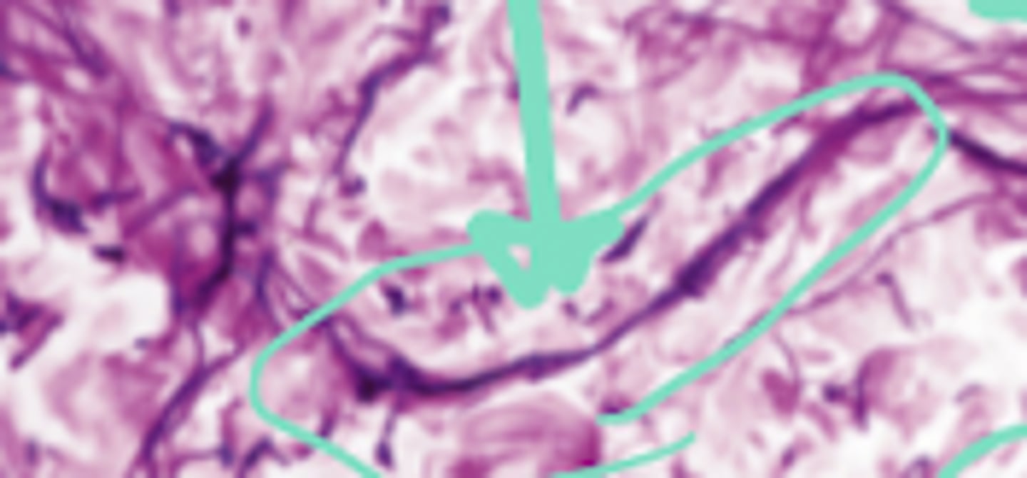 <p>What is this an image of?</p>