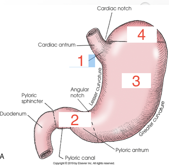 <p>2? </p>