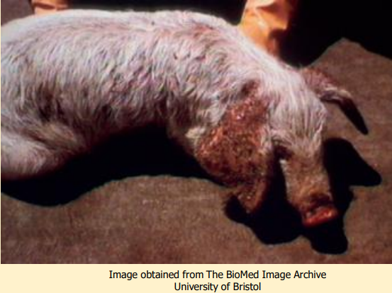 <p>What does this image show?</p>