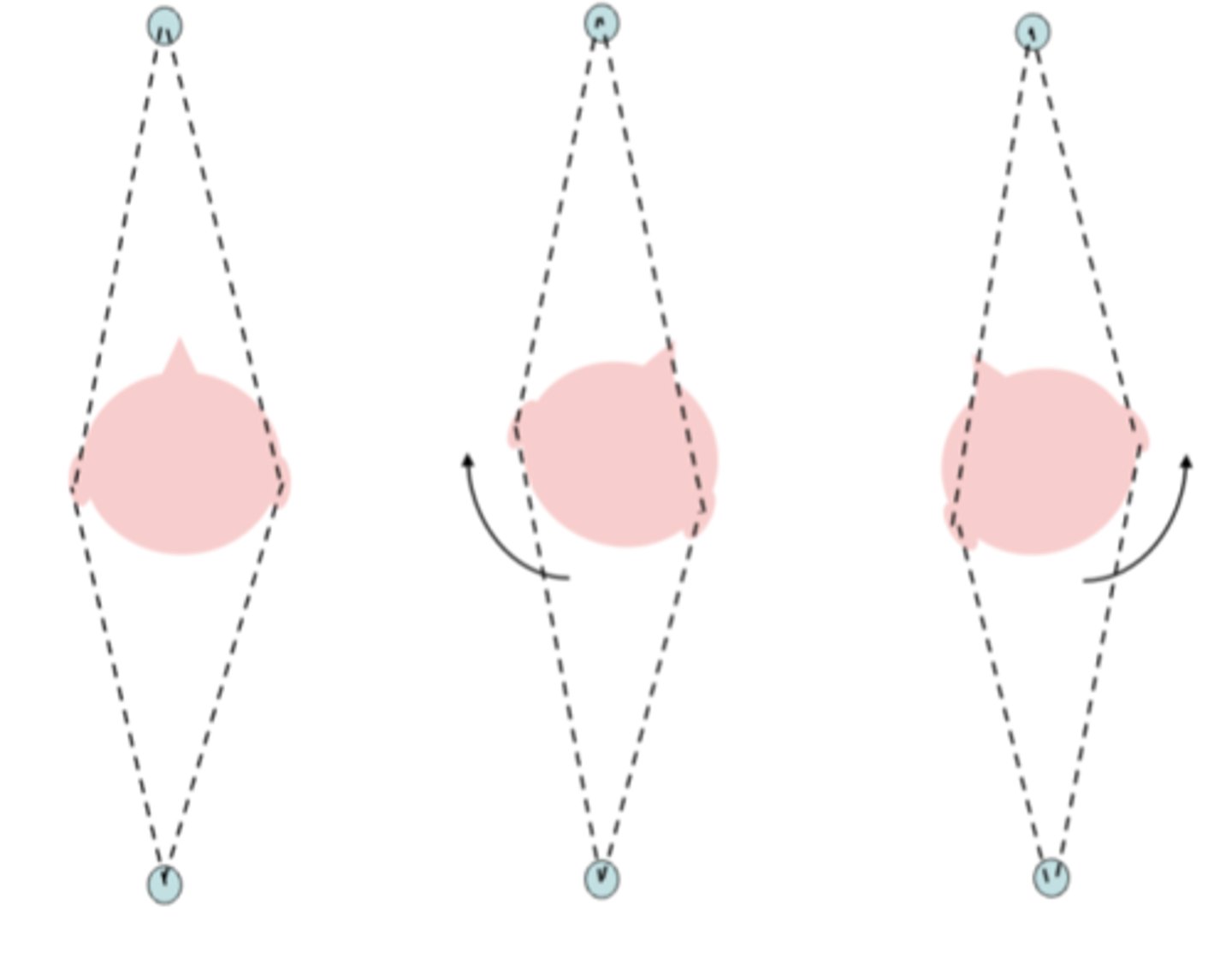 <p>Although the pinna can help us discriminate front from back, people tend to find this the hardest discrimination - front-back errors are common if the head is kept still.</p><p>- a small turn of the head will make a sound in front become a source on one side, while a source to the rear would be on the other opposite side.</p><p>The sound needs to extend in time long enough for the head to turn, but when this is possible, front-back confusion falls close to zero</p>