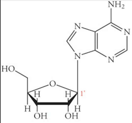 knowt flashcard image