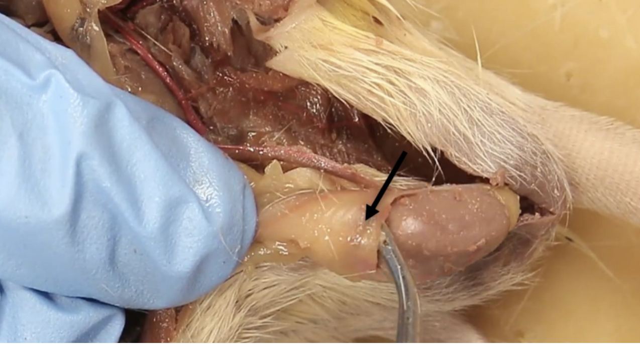 <p>What is this?</p>