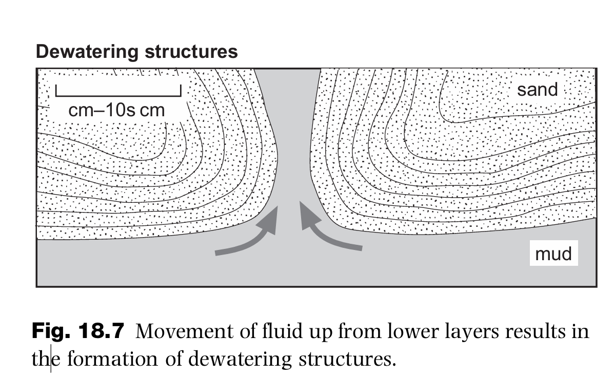 <p>-Dish and pillar both are dewatering structures.</p><p>-Dish is a concave upward clayey lamination found in sandstones and siltstones.</p><p>-When a semi permeable laminae like clay or shale acts as a barrier to upward moving water flow, the fine particles carried by water are retarded and deposited in that laminae itself. This produces dish.</p><p>-At the same time, when enough presseure builds up, the sediment laden water forces its way upward , creating vertical depositional structures called pillar.The other name for pillar is elutriation pipes.</p><p>-Pillar is not a stratification structure while dish is. </p><p>-They are commonly found in turbidites and liquified flows.</p>