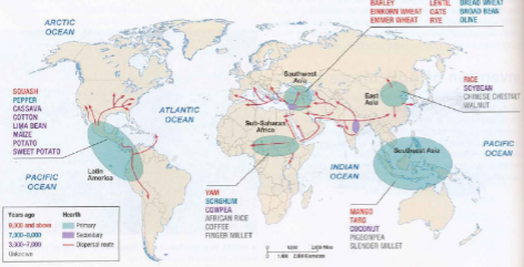 <p>The Fertile Crescent</p>