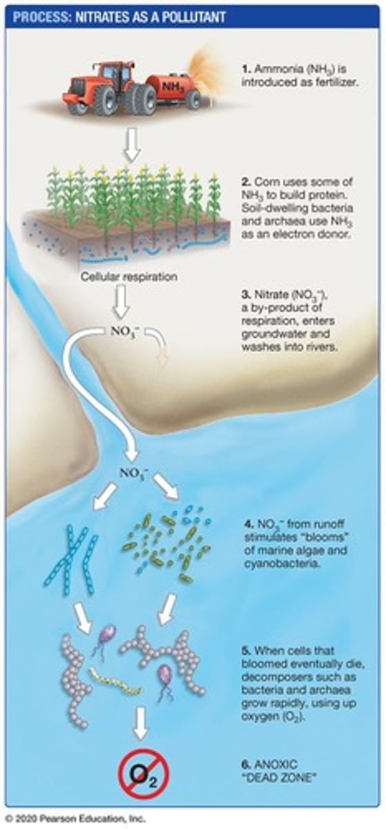 <p>Environmental impact from excess nitrates in water.</p>