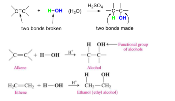 <ul><li><p>addition of water</p></li><li><p>requires a strong acid as a catalyst- H2 or H2SO4</p></li><li><p>H is added to carbon with larger number of Hs to begin with</p></li></ul>