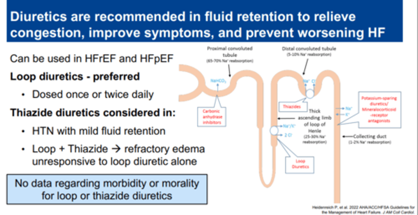 <p>loop diuretics</p><p>- furosemide (Lasix), bumetanide (Bumex), torsemide (Soaanz)</p><p>- inhibit the Na+/K+/2Cl- cotransporter in the thick ascending loop</p><p>- most effective class in treating edema for HF patients</p><p>- caution: hypokalemia, digoxin toxicity</p><p>thiazide-like diuretics</p><p>- chlorthiazide (Diuril), hydrochlorothiazide, indapamide, chlorthalidone (Thalitone), metolazone</p><p>- inhibit the Na+/Cl- cotransporter in the distal convoluted tubule </p><p>- may be used as monotherapy in early stages</p><p>- caution: hypokalemia, reduced effectiveness in renal failure</p><p>K+ sparing diuretics</p><p>- spironolactone (aldactone), eplerenone (Inspra)</p><p>- competitively inhibit the binding of aldosterone to the mineralocorticoid receptor </p><p>- improves overall survival when added to conventional therapy</p><p>- caution: hyperkalemia, blocks androgen &amp; progesterone receptors (spiro)</p>