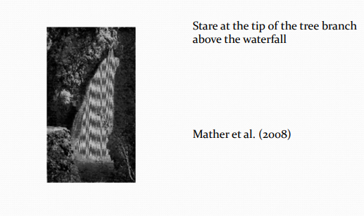 <ul><li><p>Image of Fall of Foyers near Loch Ness in Scotland where Robert Adams (1834) first experienced the waterfall illusion. </p></li><li><p>After staring at the waterfall for several minutes, he then shifted his gaze to the rockface which appeared to move upwards</p></li></ul><p></p>