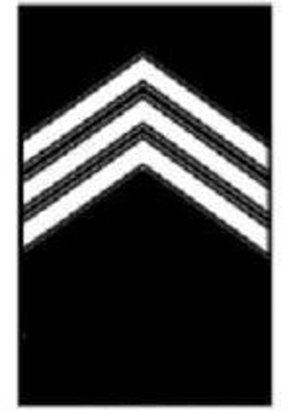 <p>3 Chevrons</p>