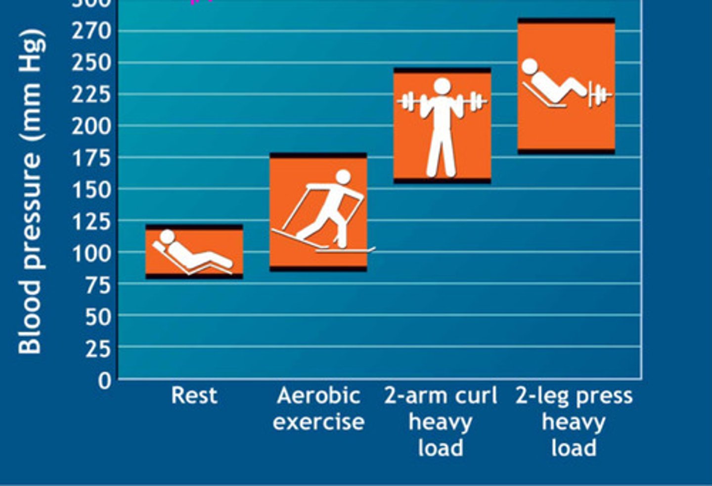 <p>what is happening in this image</p>