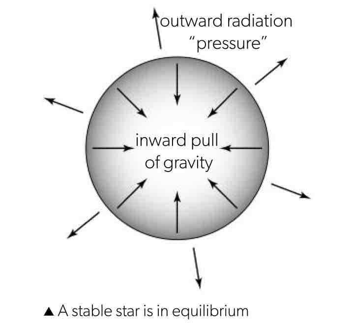 <p><span>the equilibrium between the gravitational attraction between the interior of the star and the outer layers pulling inwards and the thermal and radiation pressure pulling inwards</span></p>