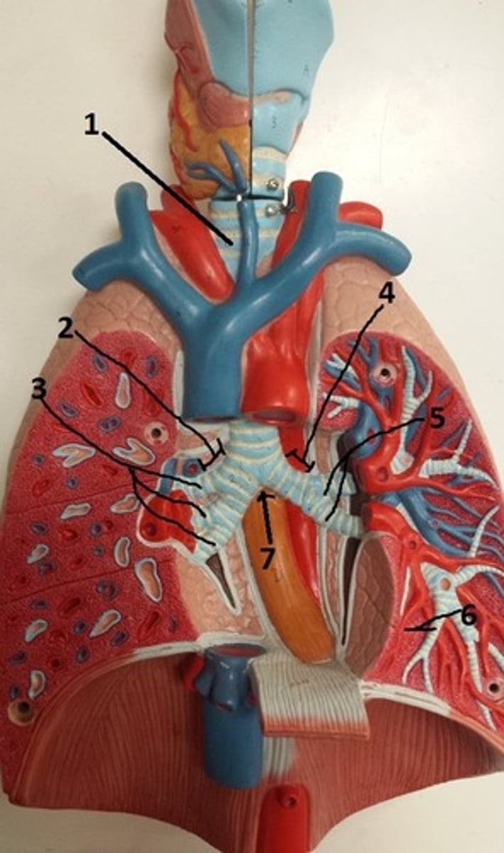 <p>3</p>