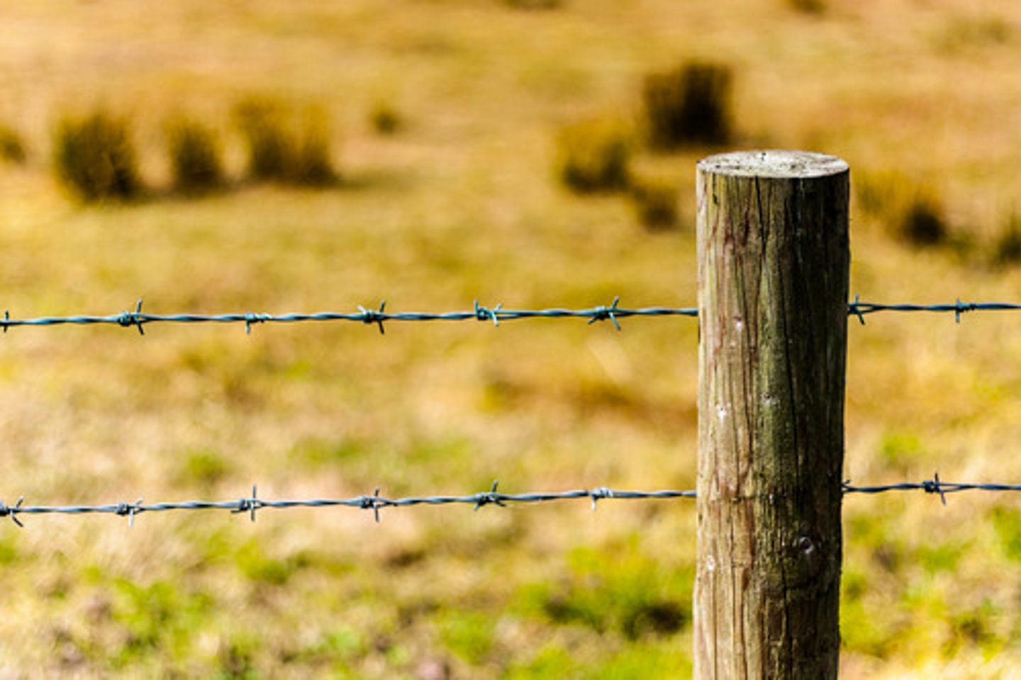 <p>/ə ˈwʊdən pəʊst/ • Phrase • A sturdy piece of wood used as a support • Cột gỗ • He hammered a wooden post into the ground to support the fence.</p>