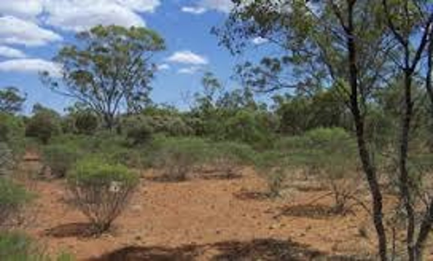 <p>climate zone that is somewhat dry; Hot, dry summers and cool, dry winters</p>