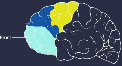 <p>compares various types of information for decision-making.</p>