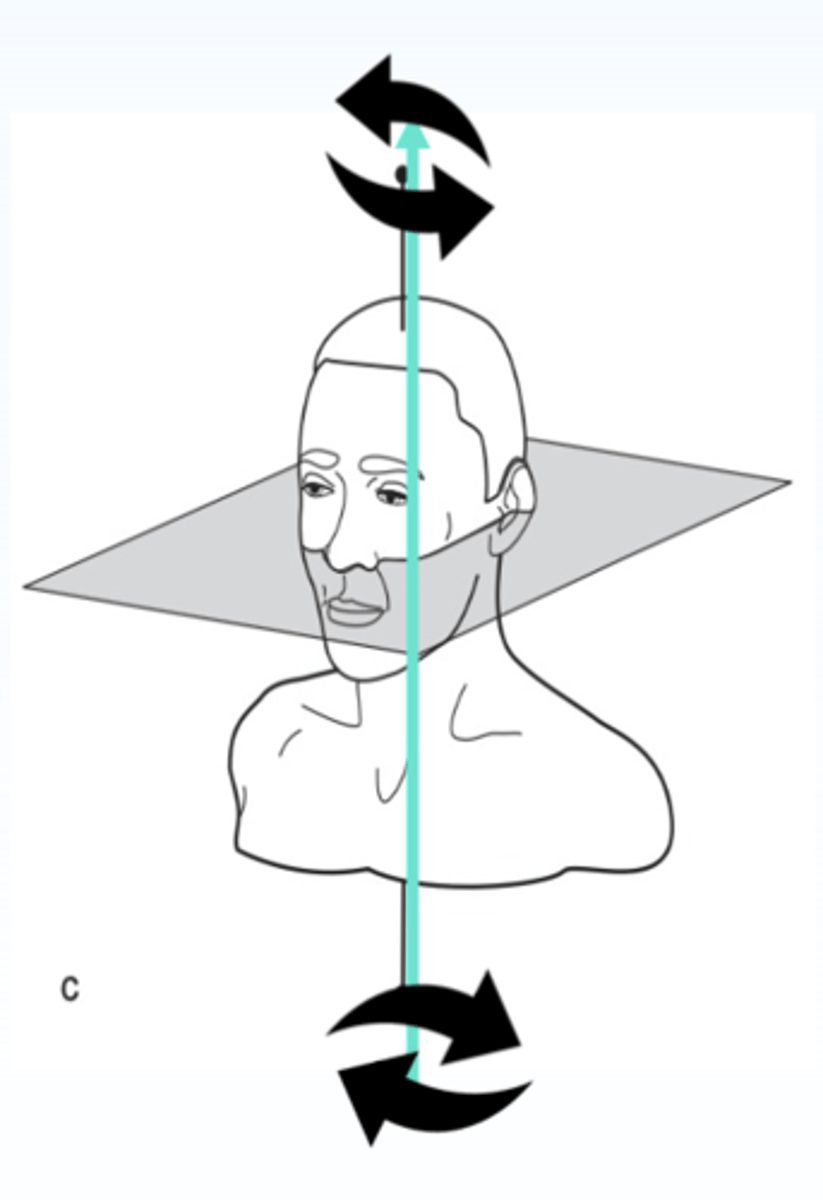 <p>ID the plane:</p>