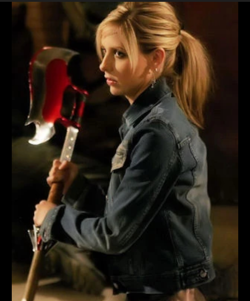 <p>Buffy the Vampire Slayer</p>