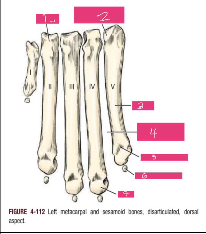 <p>4</p>