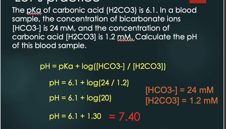 <ul><li><p>pH = pK + log [HCO3-]/[H2CO3]</p><ul><li><p> H2CO3 is measured as dissolved CO2 (PCO2)</p></li></ul></li><li><p>Normal ratio of base to acid is approximately 20:1</p></li><li><p>CO2 content = HCO3- + H2CO3 (where H2CO3 = PCO2 × 0.03)</p></li></ul><p></p>