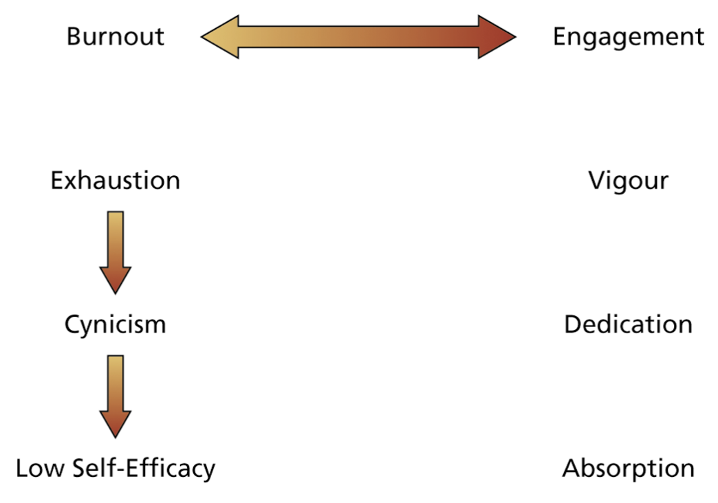 <p>Related to job demands resources model:</p><p>So basically engagement and burnout are connected in the sense that burnout is caused by exhaustion, these feelings of exhaustion lead to cynicism and low self-efficacy. Therefore people who have lower self esteem are more prone to burnout.</p>