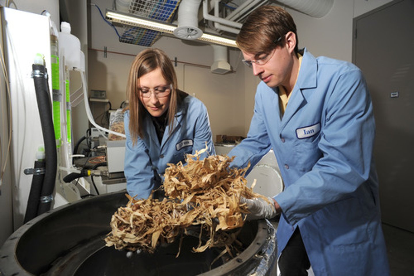 <p>A measure of the total dry mass of organisms within a particular region</p>