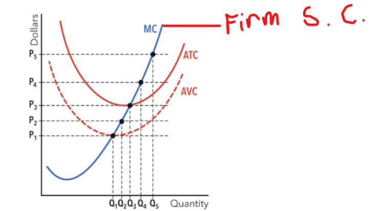 <p>Firm Supply in a Perfectly Competitive Market</p>