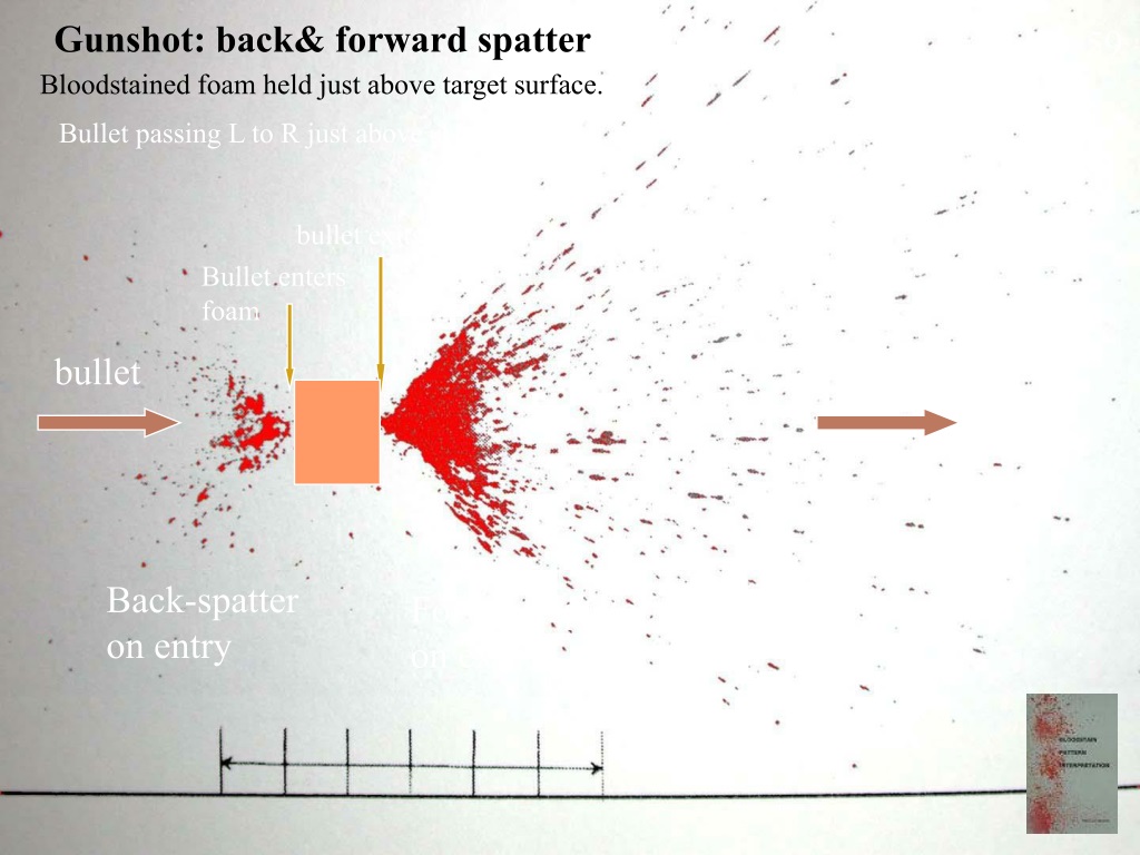 <p>gunshot spatter </p>