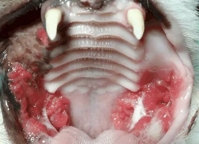 <p>what is this image showing?</p>