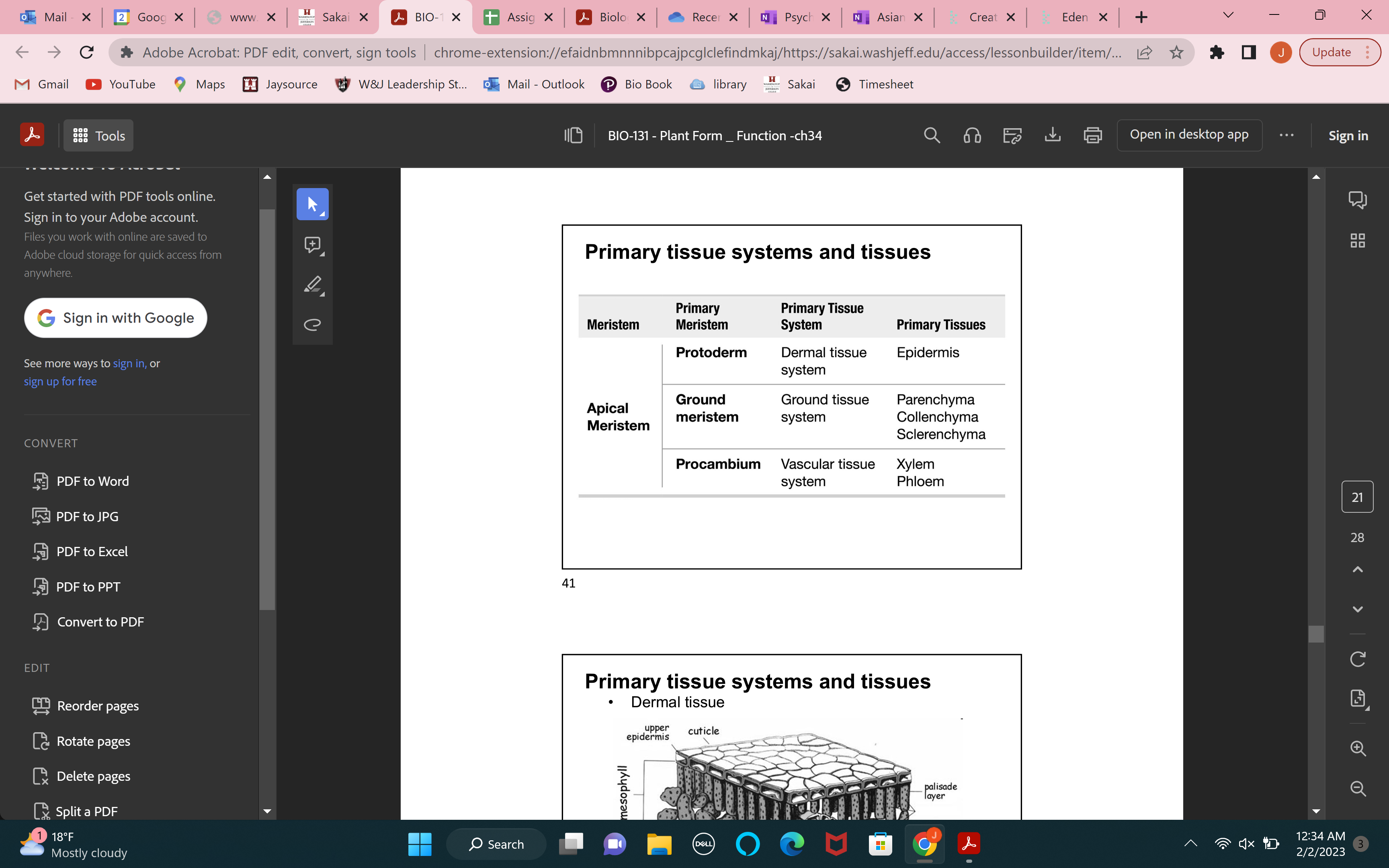 knowt flashcard image