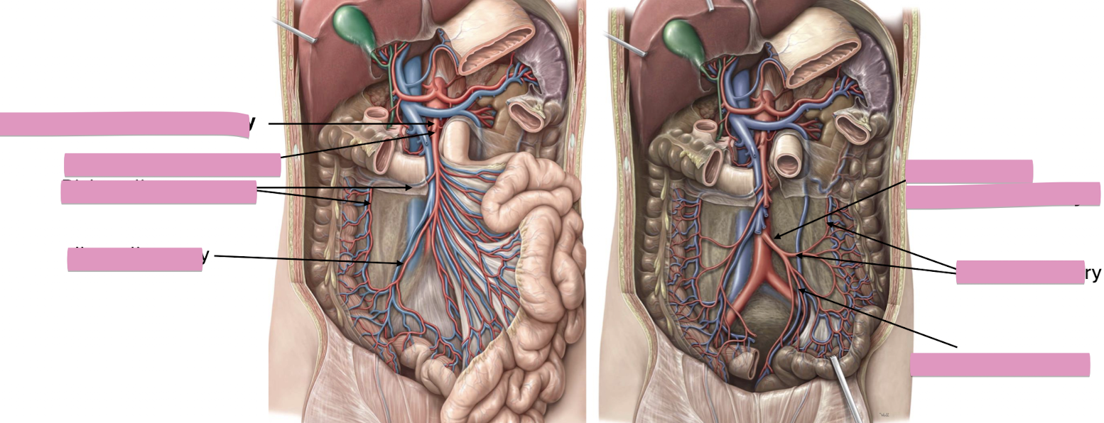 <p>Fill in the blank </p>