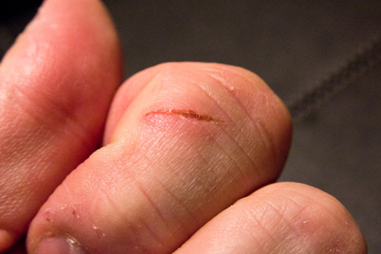 <p>to cut (one's self)</p>